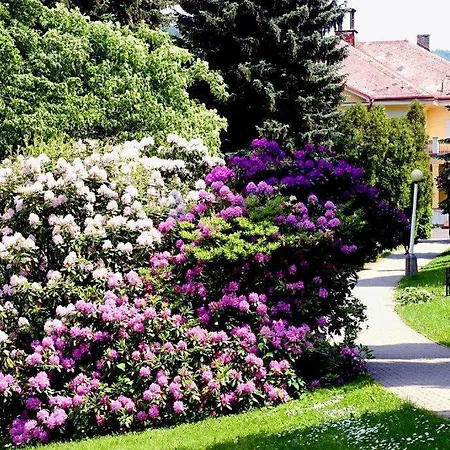 Libverda - Novy Dum 3* Łaźnie Libverda